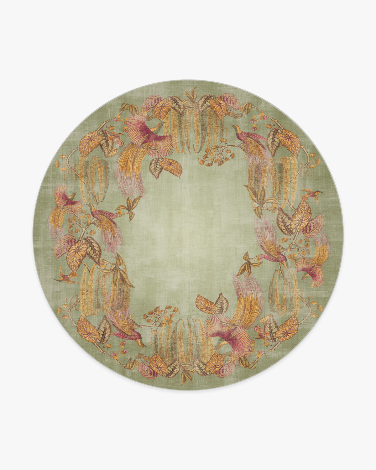 Bird Of Paradise — Halı, Gümüş Fern, ROUND, beyaz zemin, 8R