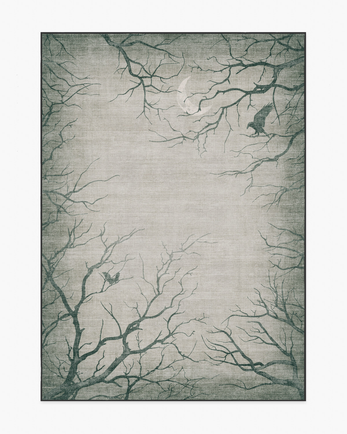 Moonshadows — Halı, Gri, AREA, beyaz zemin, 5x7