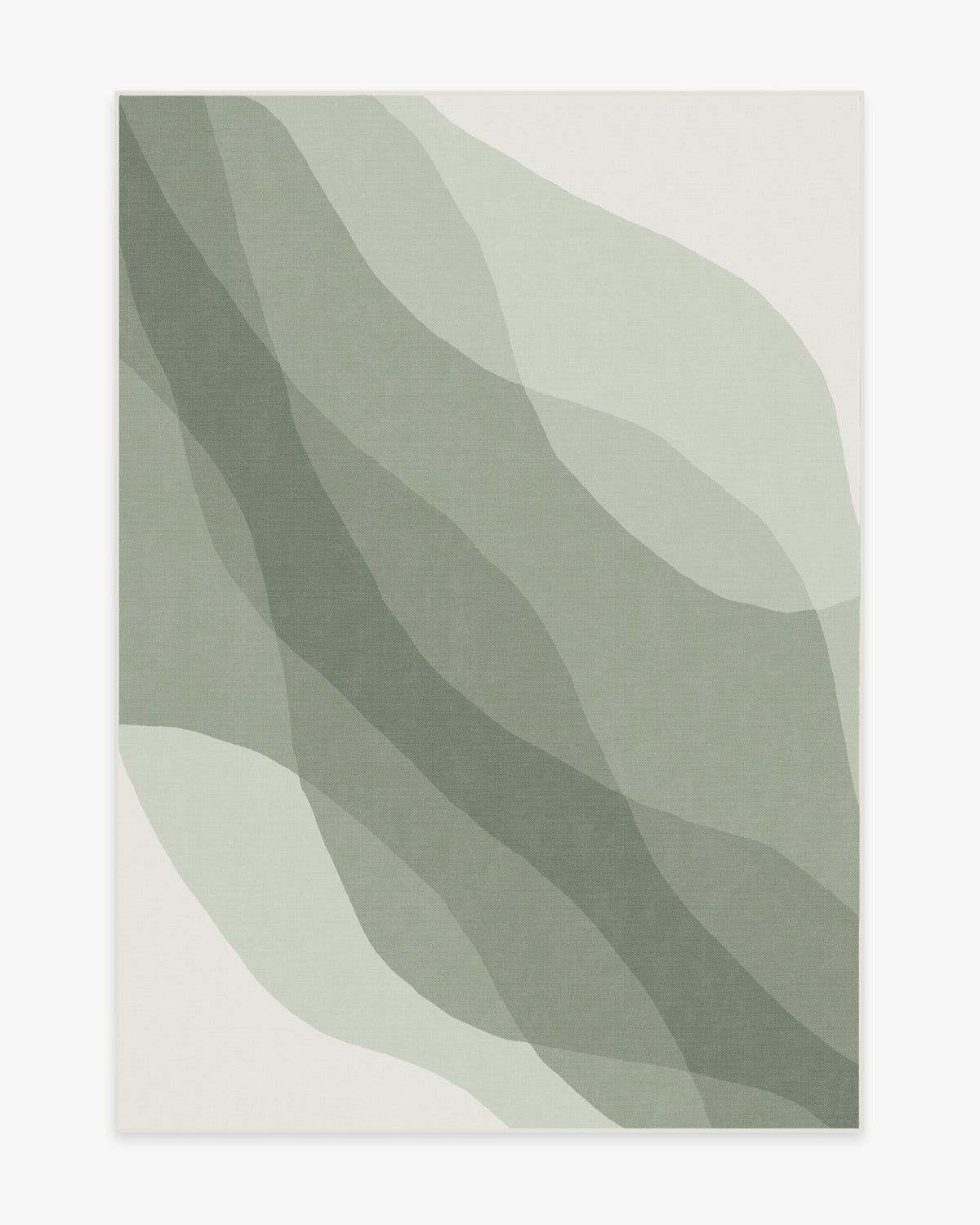 Kallan — Halı, Adaçayı Yeşili, AREA, beyaz zemin, 5x7