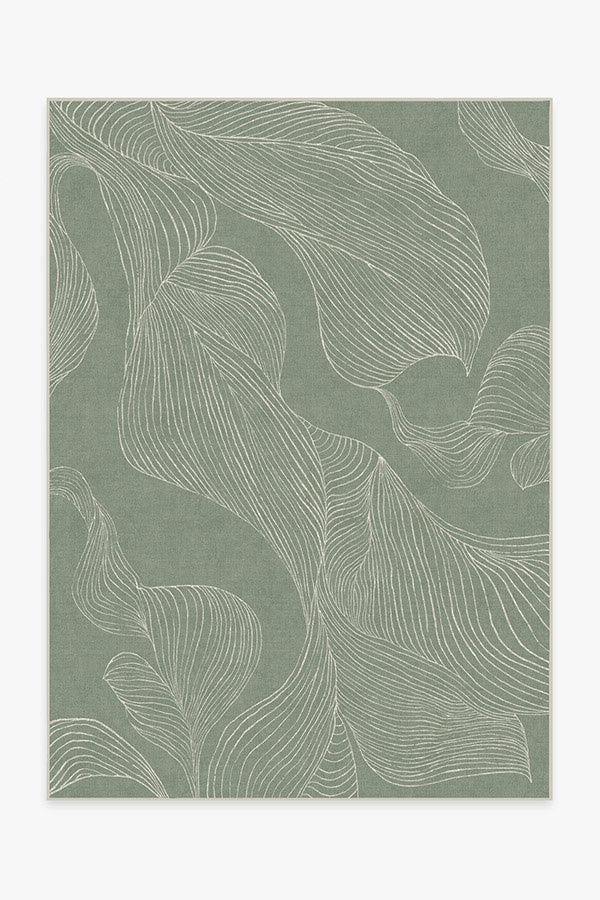 Sana — Halı, Adaçayı Yeşili, AREA, beyaz zemin, 5x7