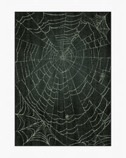 Web — Halı, Yumuşak Siyah, AREA, beyaz zemin, 5x7
