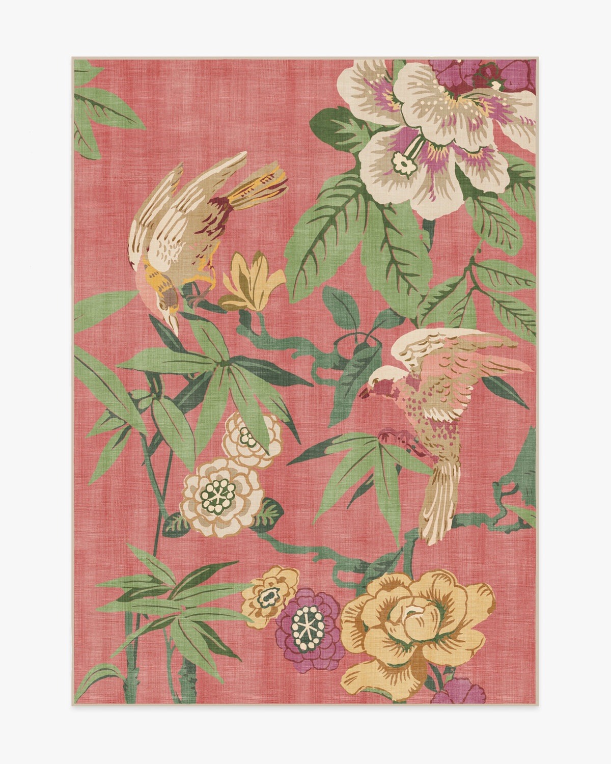 Bamboo Bird — Halı, Blossom Pembe, AREA, beyaz zemin, 5x7