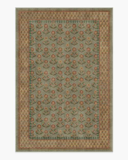 80x50