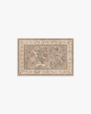 Ester — Halı, Vizon, AREA, beyaz zemin, 2x3