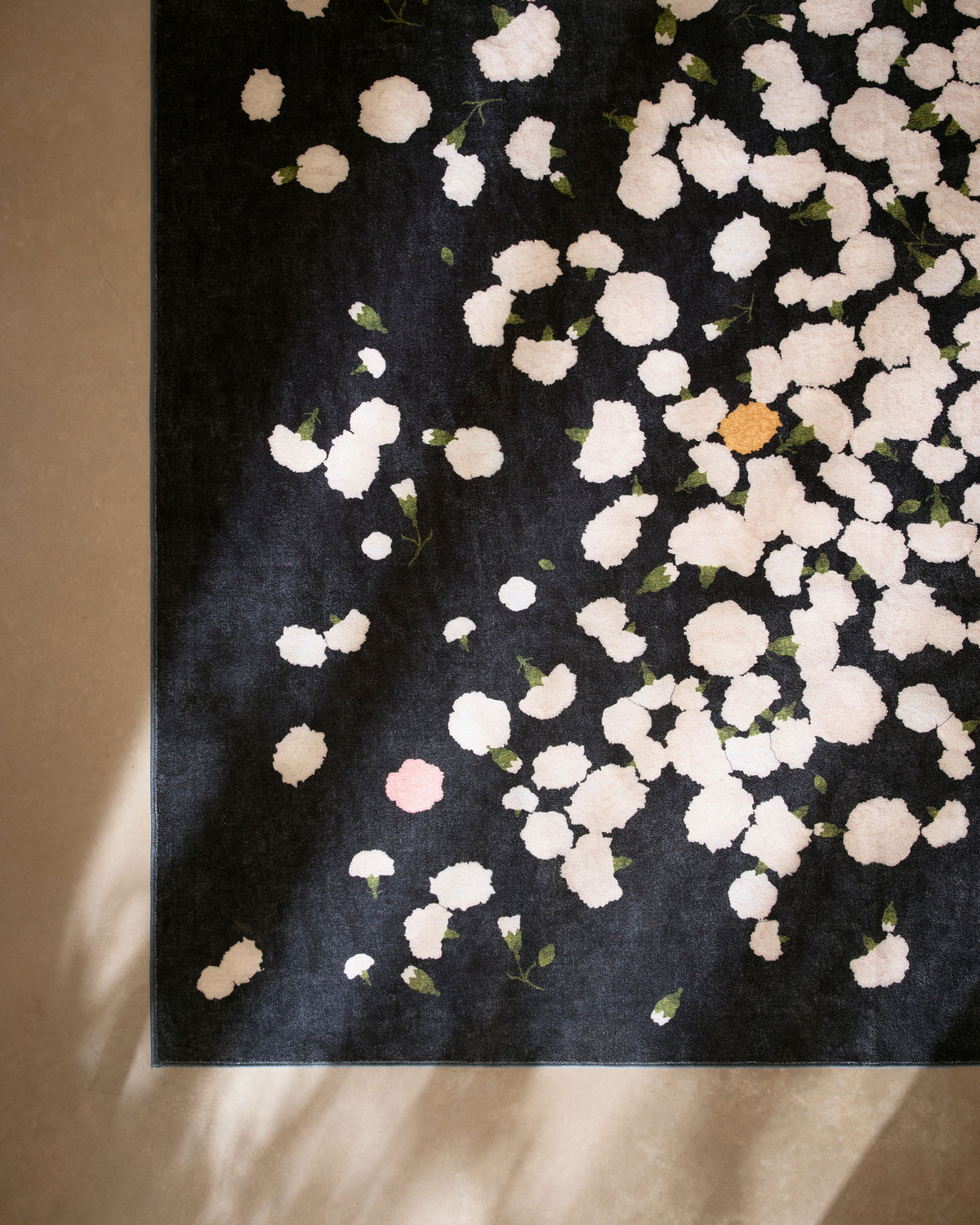 Fluttering Carnations — Halı, Antrasit Fildişi, AREA, yaşam alanı, 5x7