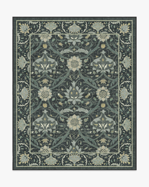 80x50