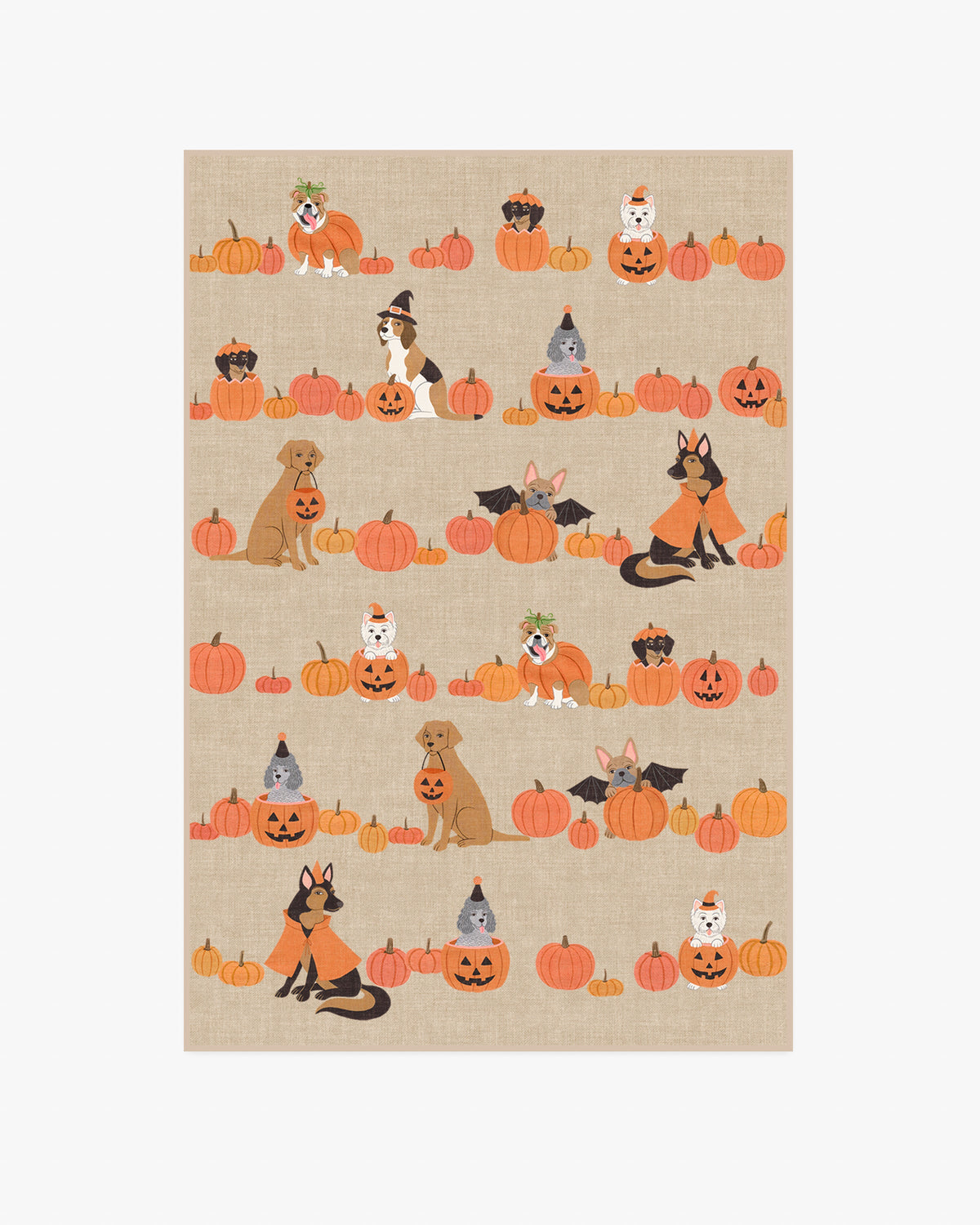 Puppy Patch — Halı, Doğal Çok Renkli, AREA, beyaz zemin, 4x6