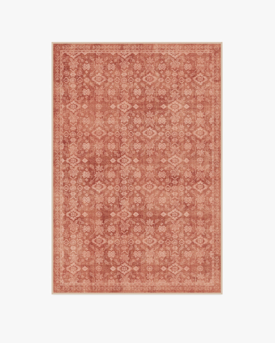 Neve — Halı, Terracotta, AREA, beyaz zemin, 4x6