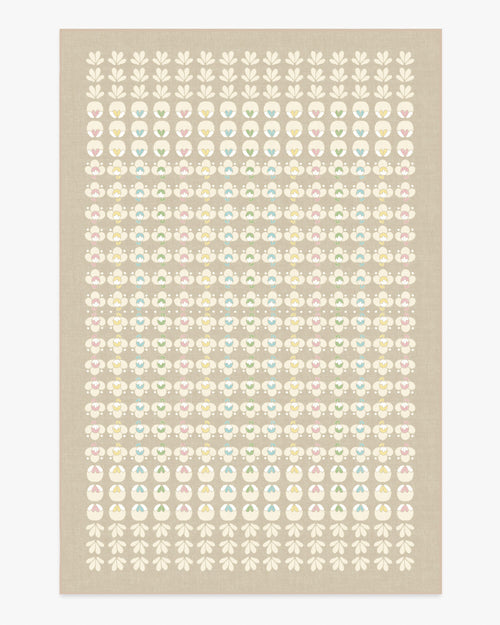 80x50