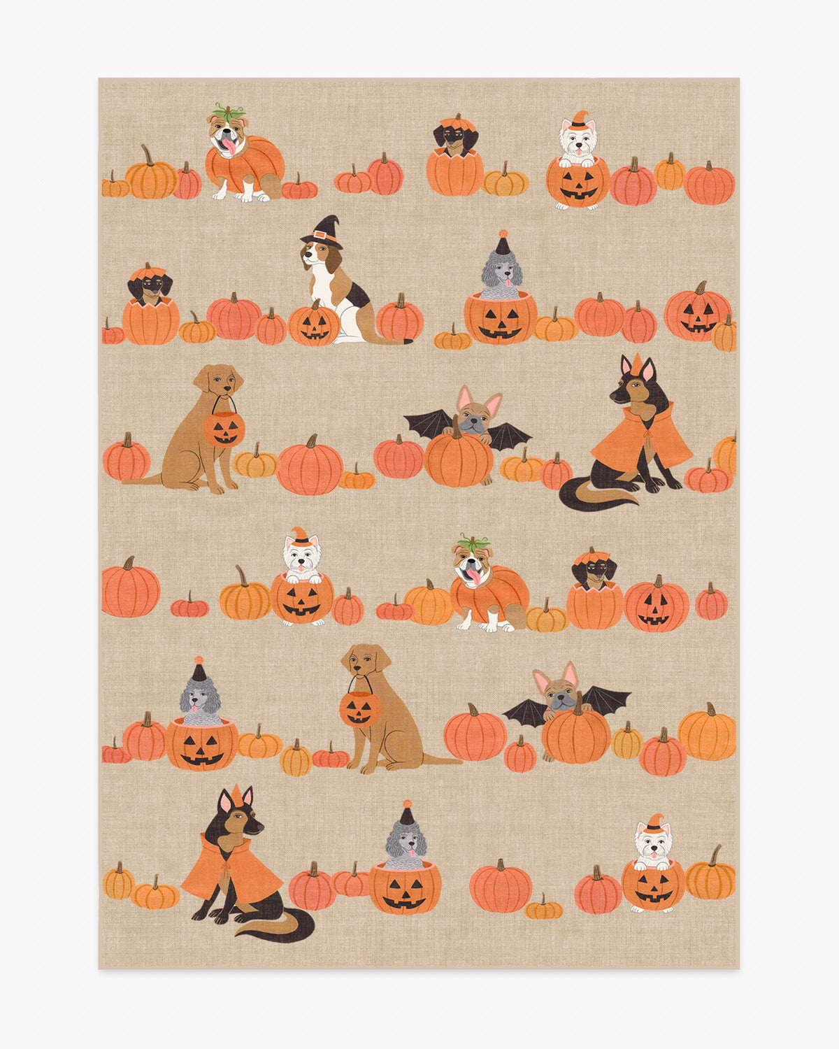 Puppy Patch — Halı, Doğal Çok Renkli, AREA, beyaz zemin, 5x7