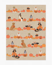 Puppy Patch — Halı, Doğal Çok Renkli, AREA, beyaz zemin, 5x7