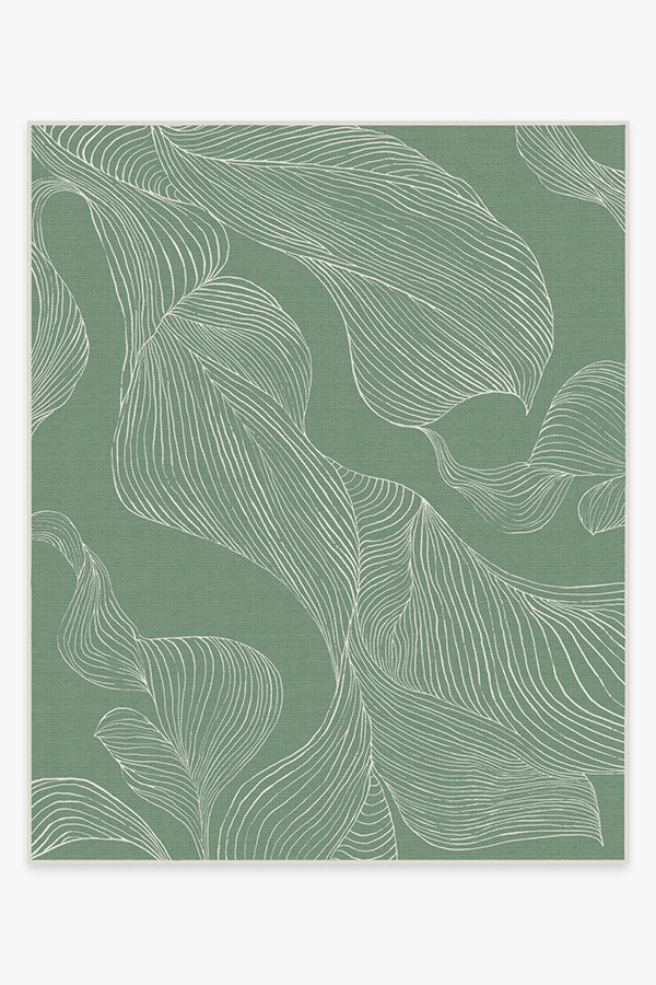 Sana Laurel — Halı, Yeşil, AREA, beyaz zemin, 8x10