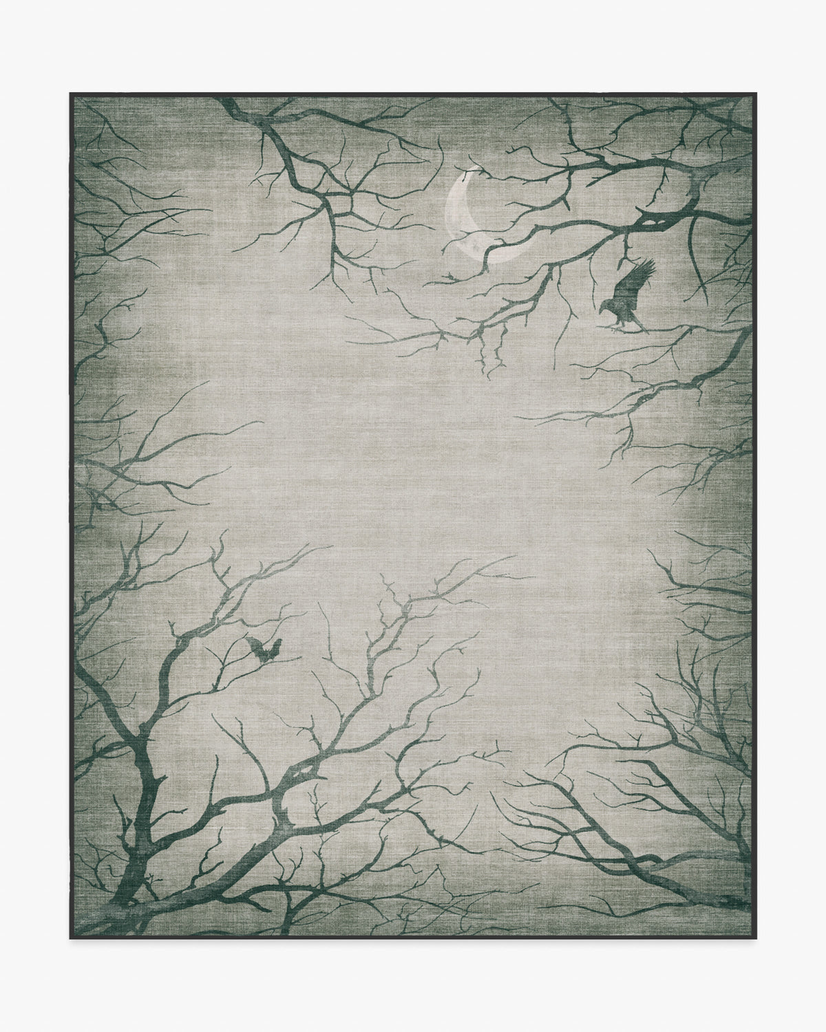 Moonshadows — Halı, Gri, AREA, beyaz zemin, 8x10