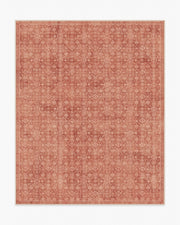 Neve — Halı, Terracotta, AREA, beyaz zemin, 8x10