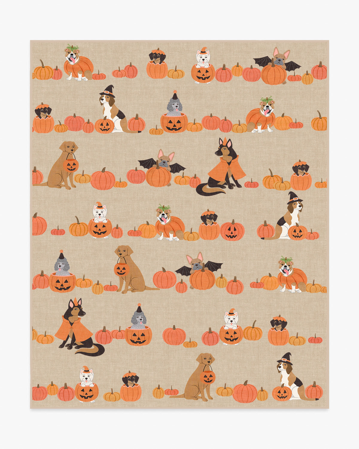 Puppy Patch — Halı, Doğal Çok Renkli, AREA, beyaz zemin, 8x10