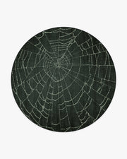 Web — Halı, Yumuşak Siyah, ROUND, beyaz zemin, 8R