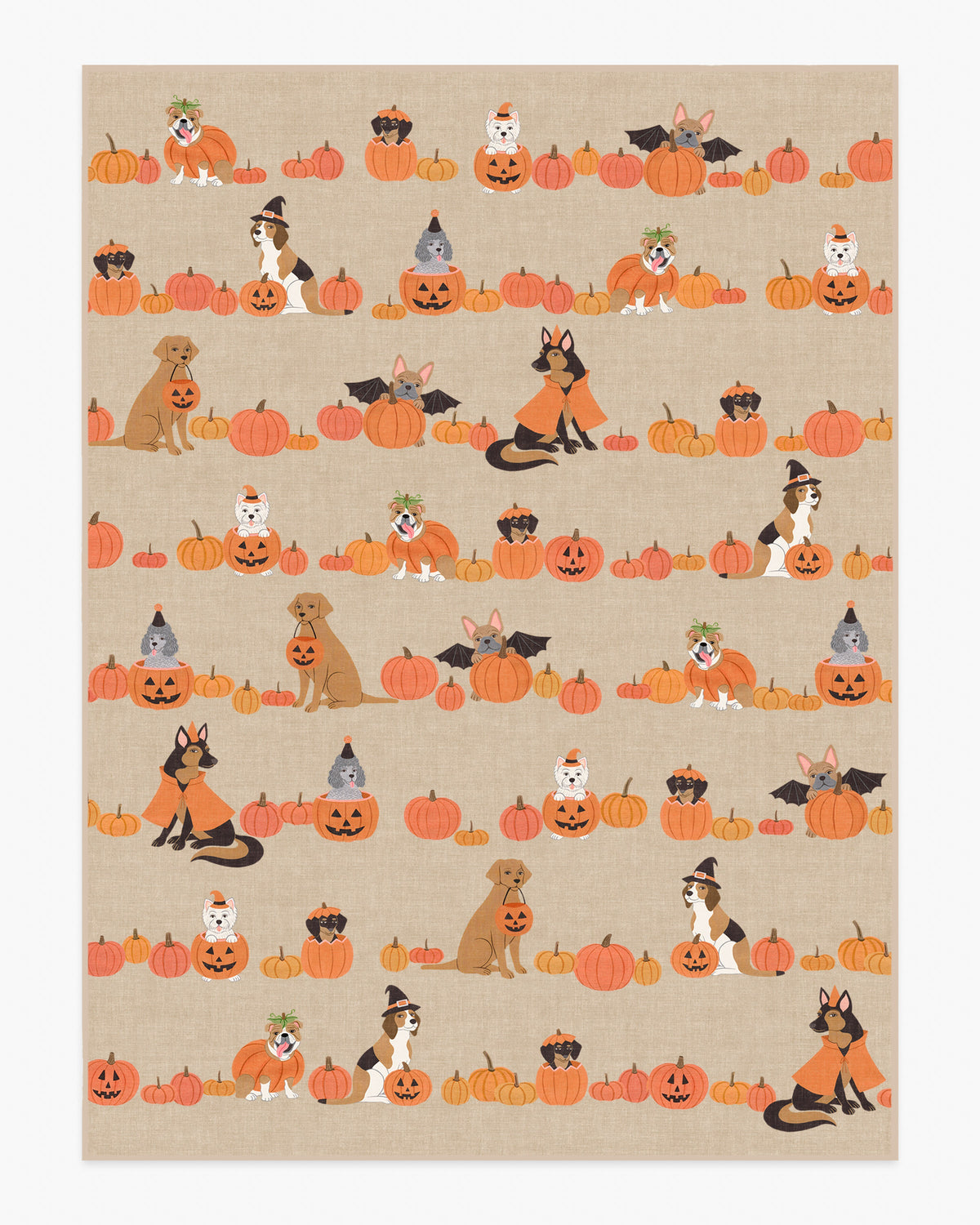 Puppy Patch — Halı, Doğal Çok Renkli, AREA, beyaz zemin, 9x12
