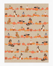 Puppy Patch — Halı, Doğal Çok Renkli, AREA, beyaz zemin, 9x12