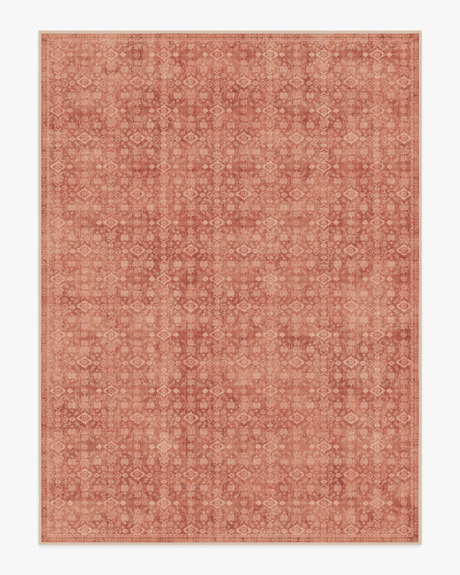 Neve — Halı, Terracotta, AREA, beyaz zemin, 9x12