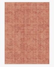 Neve — Halı, Terracotta, AREA, beyaz zemin, 10x14
