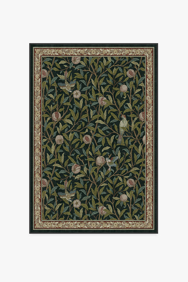 Morris And Co Bird Pomegranate — Halı, Turkuaz Yeşil, AREA, beyaz zemin, 4x6