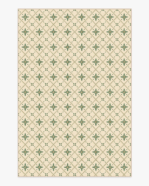80x50