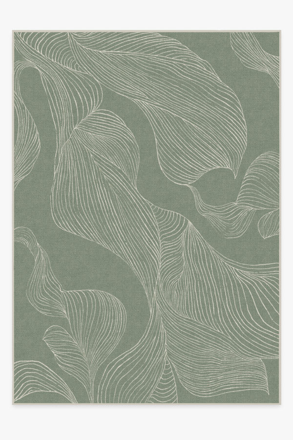 Sana — Halı, Adaçayı Yeşili, AREA, beyaz zemin, 10x14