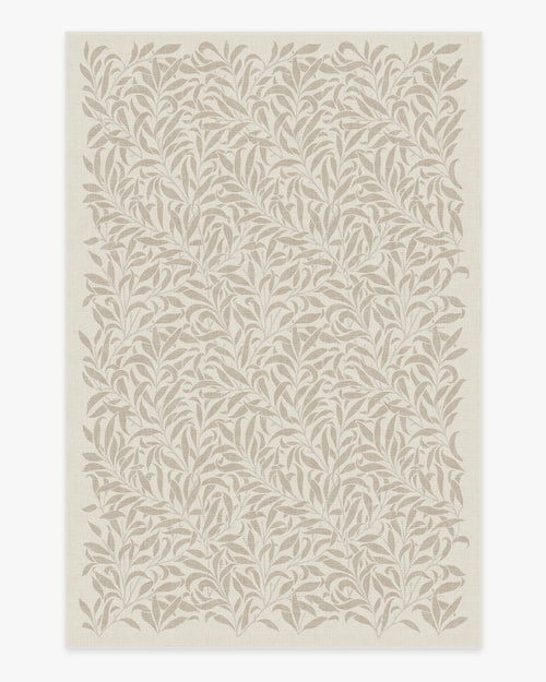 80x50