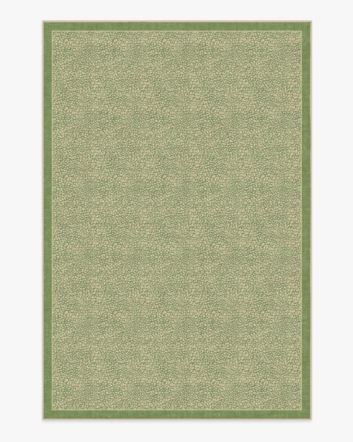 80x50