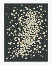 Fluttering Carnations — Halı, Antrasit Fildişi, AREA, beyaz zemin, 9x12