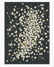 Fluttering Carnations — Halı, Antrasit Fildişi, AREA, beyaz zemin, 10x14