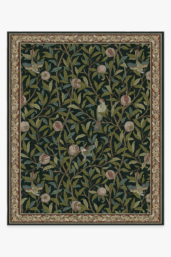 Morris And Co Bird Pomegranate — Halı, Turkuaz Yeşil, AREA, beyaz zemin, 8x10