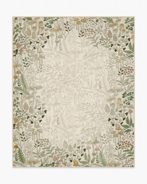 80x50