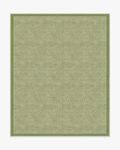80x50