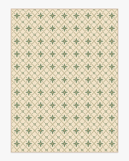 80x50