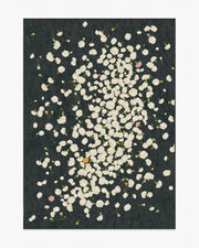 Fluttering Carnations — Halı, Antrasit Fildişi, AREA, beyaz zemin, 5x7