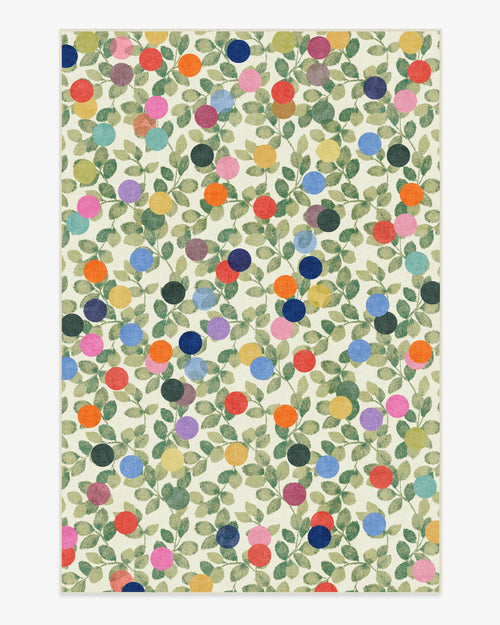 80x50
