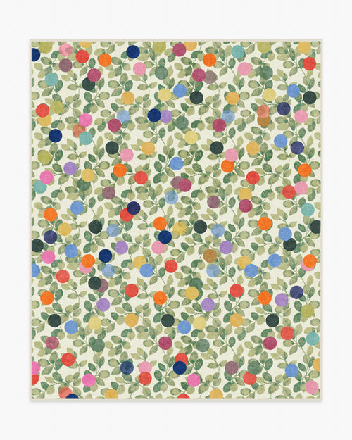 80x50