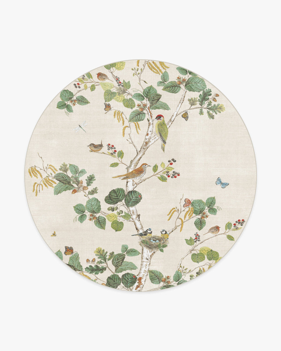 Woodland Chorus — Halı, Fawn, ROUND, beyaz zemin, 8R