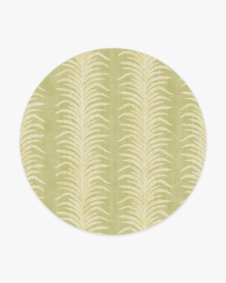Tree Fern Matcha — Halı, Yeşil, ROUND, beyaz zemin, 8R