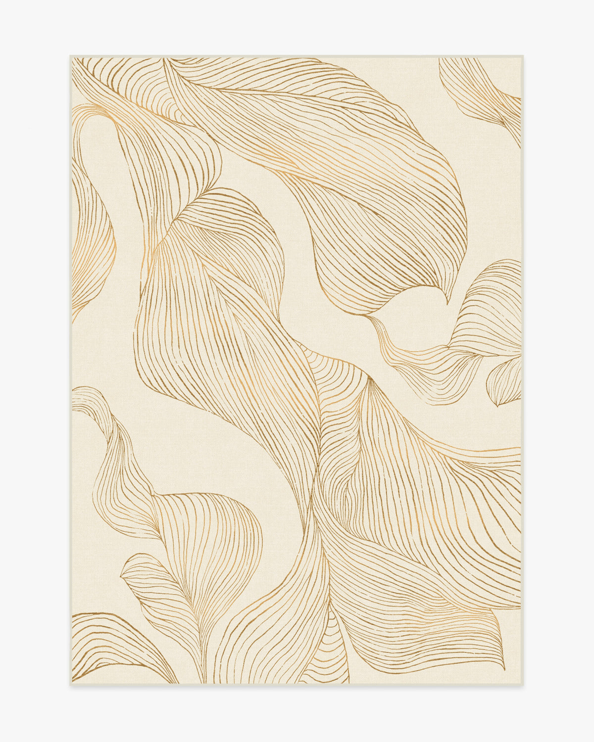 Sana — Halı, Krem Altın, AREA, beyaz zemin, 5x7
