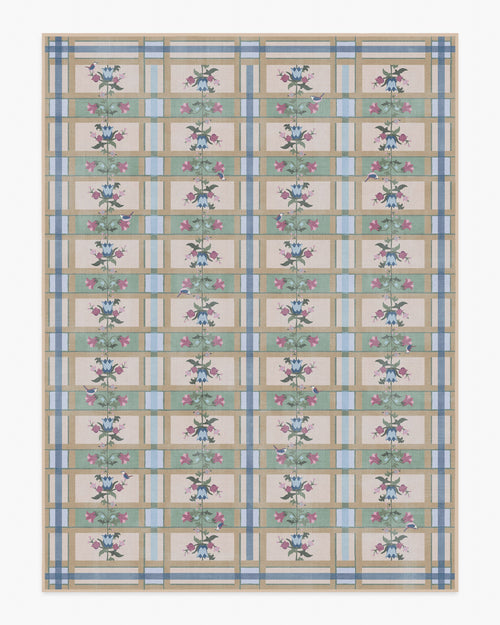 80x50