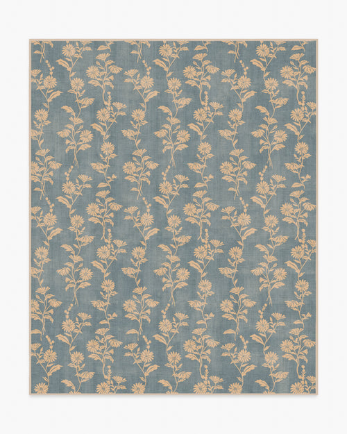 80x50