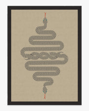 Venom — Halı, Nötr, AREA, beyaz zemin, 9x12