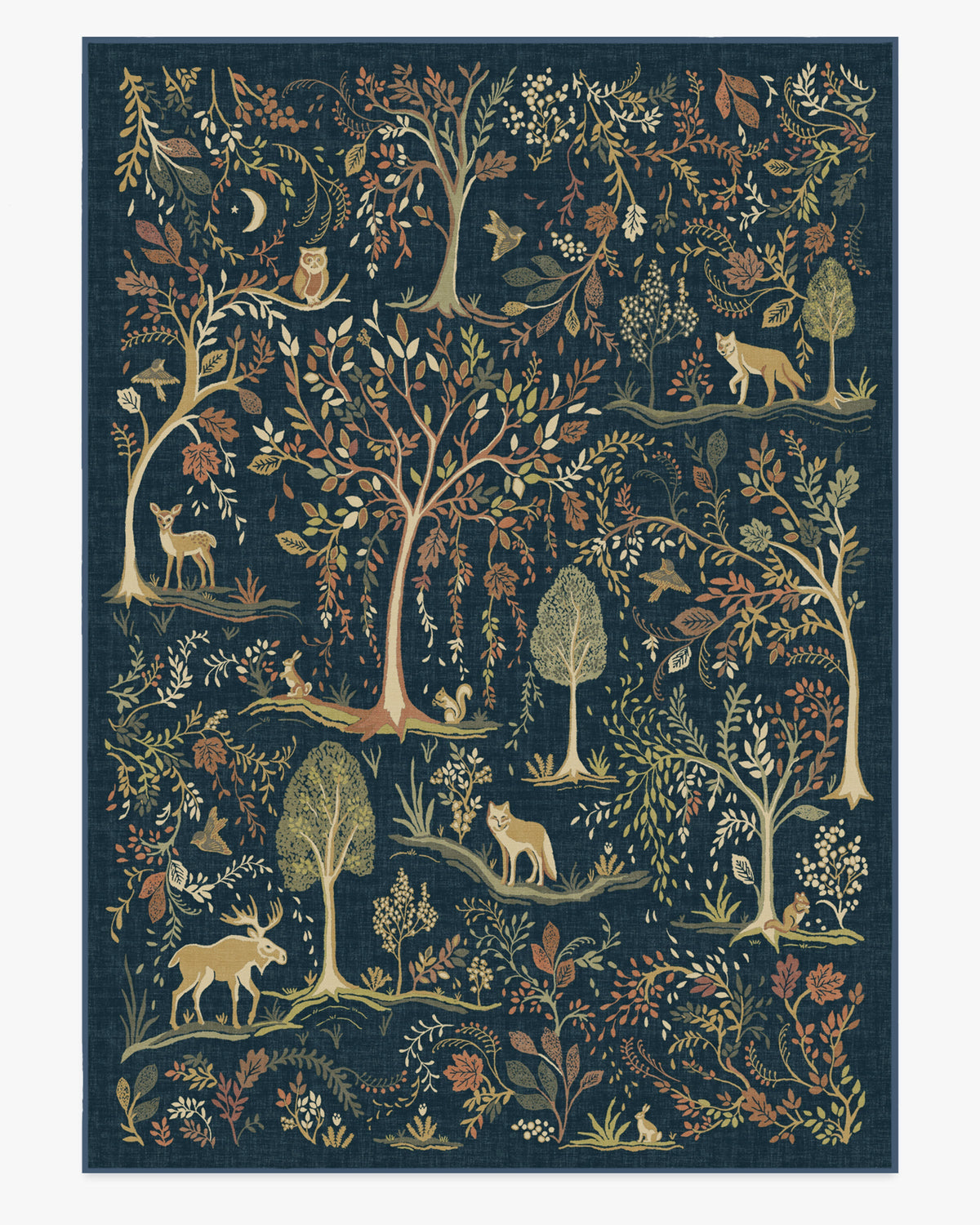 Wilder — Halı, Mavi Çok Renkli, AREA, beyaz zemin, 10x14