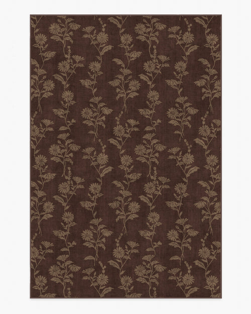 80x50