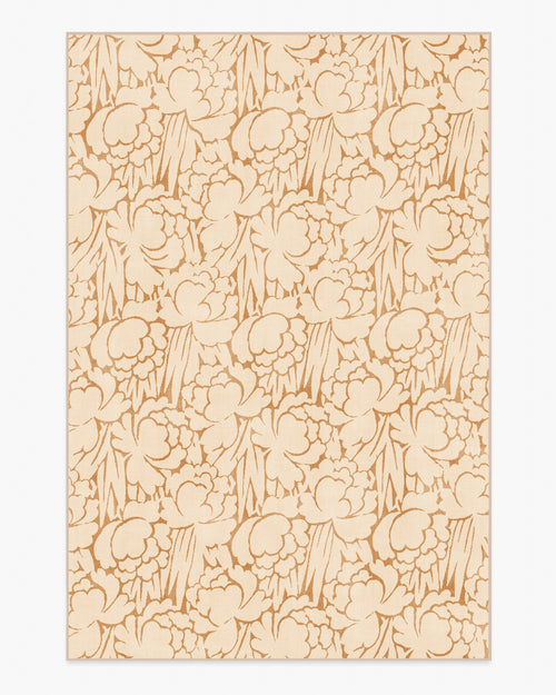 80x50