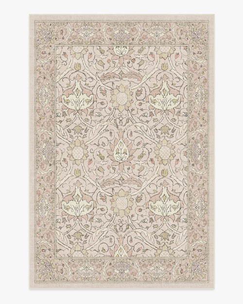 80x50