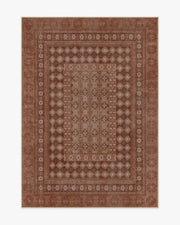 Cyrus — Halı, Terracotta, AREA, beyaz zemin, 5x7